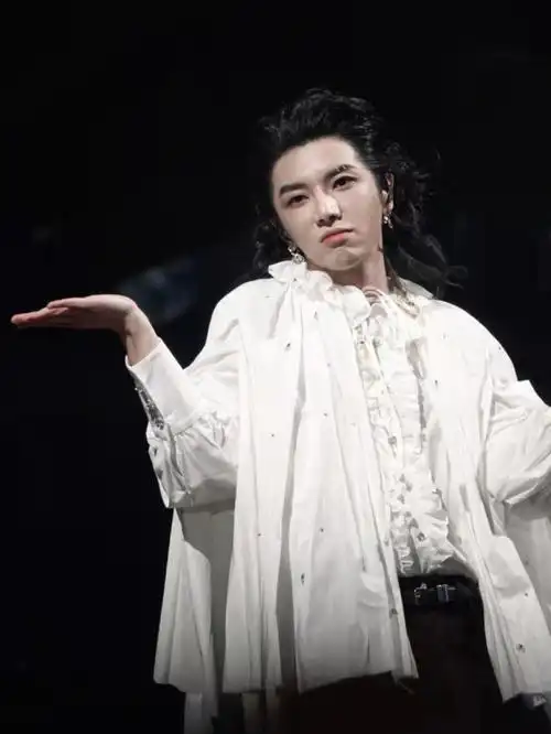 3号,这是我第一次去看演唱会华晨宇黑白艺术家黑白艺术家华晨宇黑白