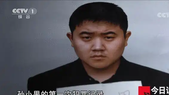 扫黑风暴中孙兴原型孙小果到底做了什么