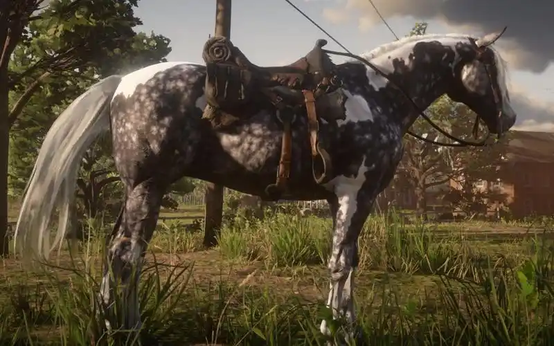 【荒野大镖客2】抓狐步马