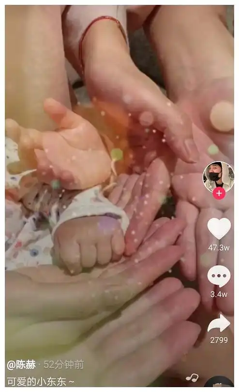 陈赫晒视频官宣二胎,一家四口手拉手温馨幸福,调侃安安最爱妹妹