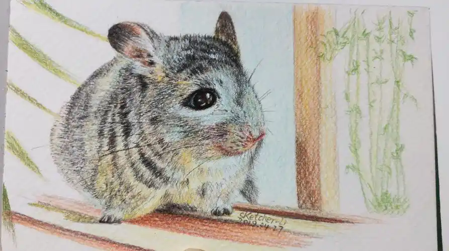 彩铅创作《龙猫》