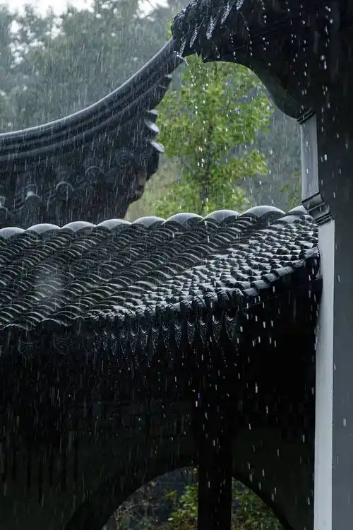 王新生|诗意的烟雨江南_旅游_文化_细雨