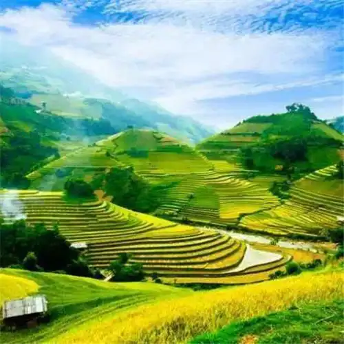 最美梯田图片头像大全 美伦美幻的梯田风景_风景头像_头像屋