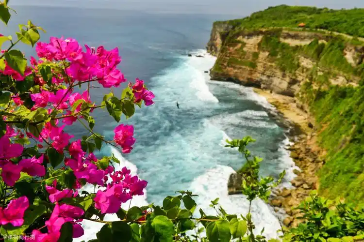 印尼1万多座岛中最美的巴厘岛,它美在哪里