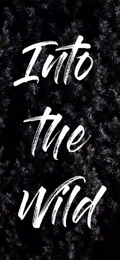 iphonex壁纸:苹果高清壁纸 - 简书