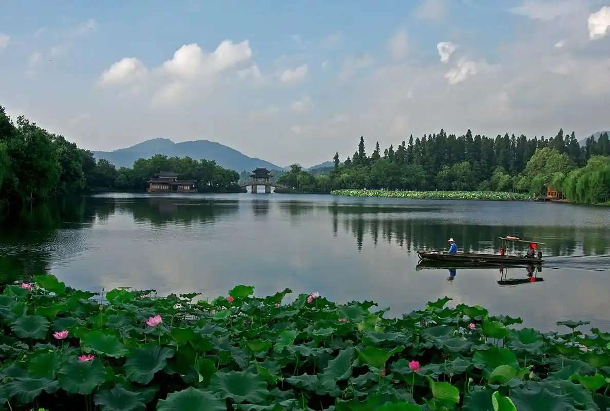 杭州西湖曲院风荷
