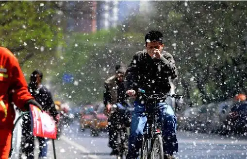 柳絮满天飞跑者注意这四点:选择正确跑步时间