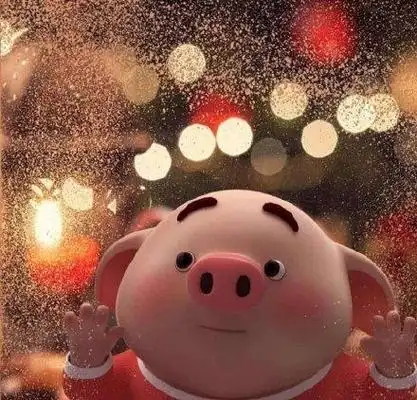 猪猪头像猪年当然要用猪猪头像猪头像表情发表情