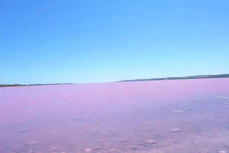 少女心爆棚的粉色魅惑,张艺兴mv取景地,西澳旅行日记