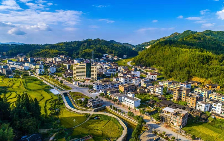 漳州诏安梅岭镇:党群联动,建设乡村治理"共同体"