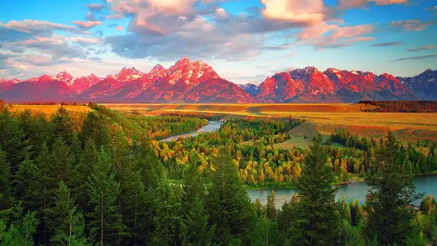 加利福尼亚州,森林,树木,天空,河,云,风景桌面壁纸