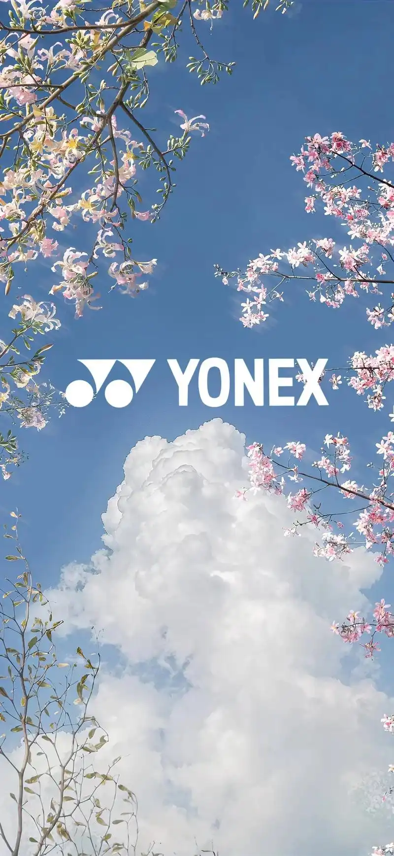 羽毛球壁纸 #一起打羽 - 抖音