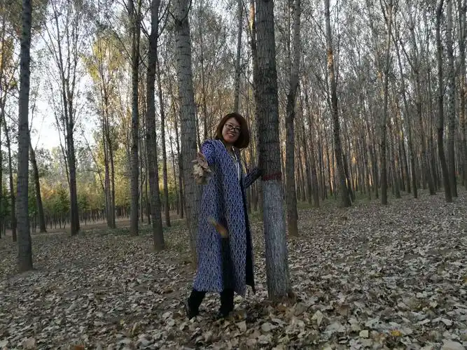 落叶,层层覆在地面,轻扬,看落叶飞翔,落脚,听簌簌的低吟与浅唱.