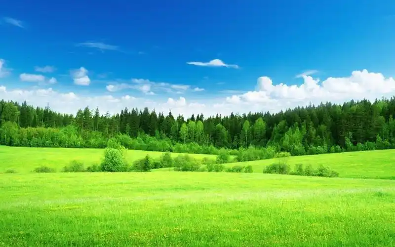 绿色护眼主题高清壁纸下载-风景壁纸-壁纸下载-美桌网