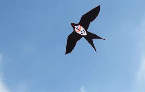 潍坊风筝 2.7米前撑杆黑色大燕子风筝 黑燕子 好放飞
