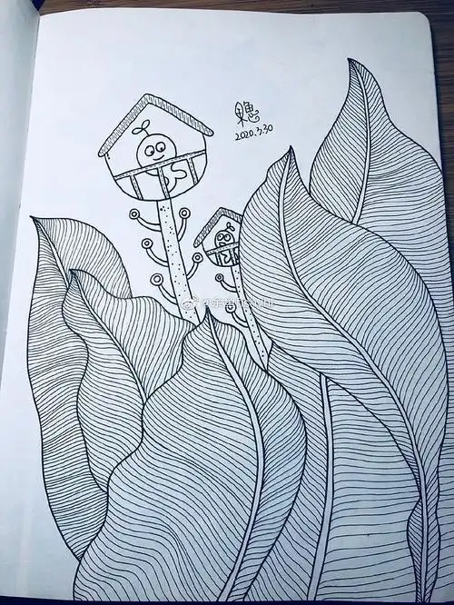 黑白装饰画线描