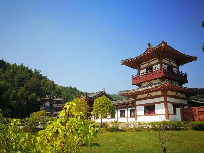 曹山寺秋荷                                 唯臻         宜黄叵