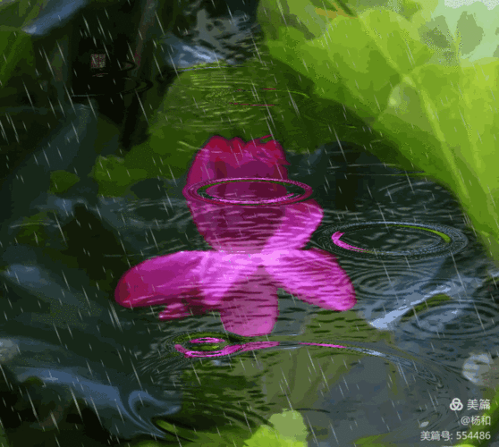 714_640gif 动态图 动图