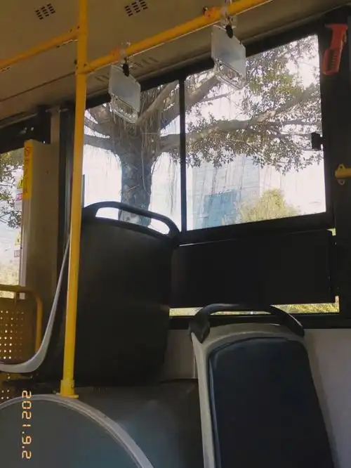 公交车上的随手拍