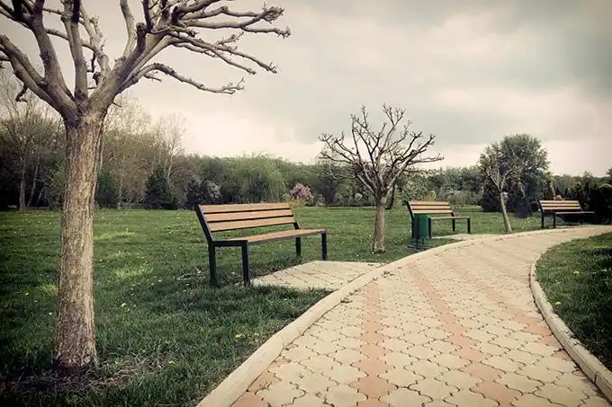 美丽的公园景色高清图片