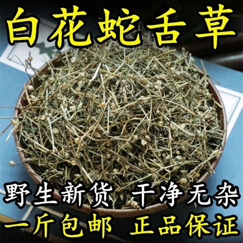 北京同仁堂原料 野生白花蛇舌草500克中药材新货蛇舌草茶百花蛇舌草白