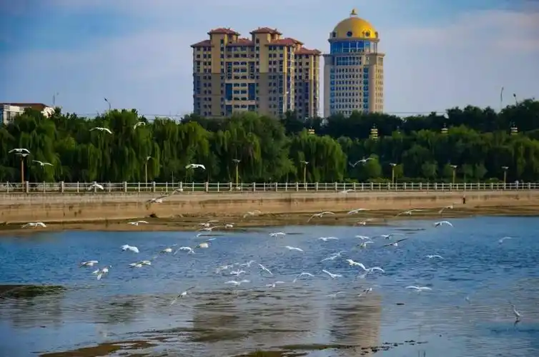 【烟台日报·壮丽70年 奋斗新时代】烟台70年发展成就巡礼之莱阳篇!_