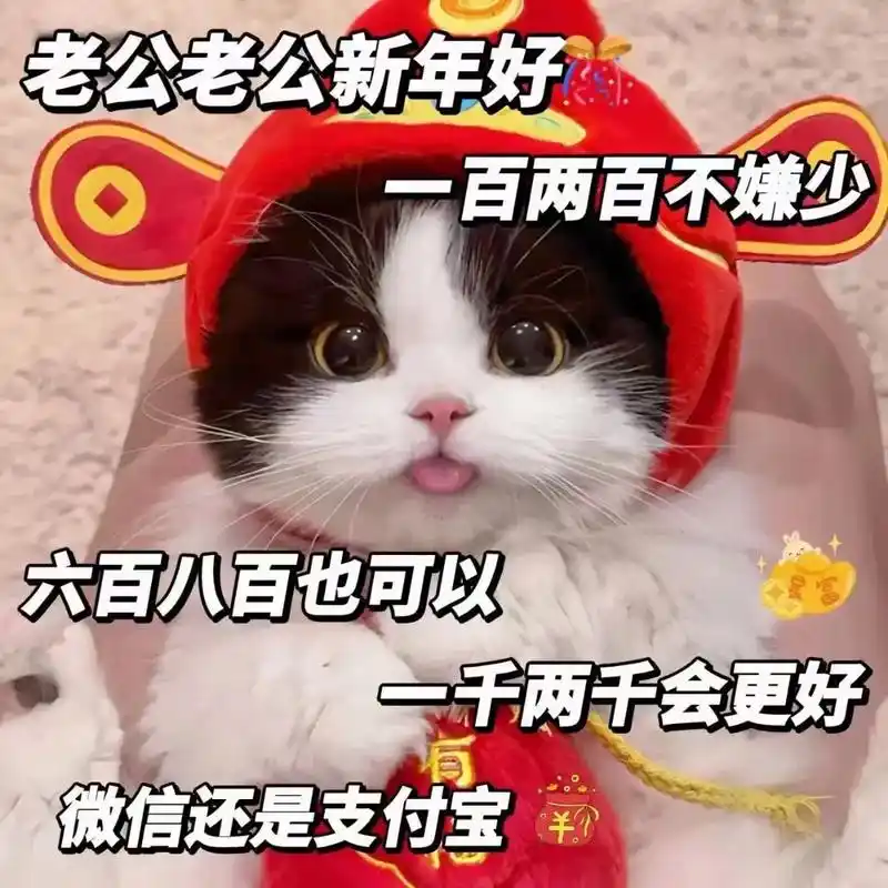 跟老公要零花钱的表情包 - 抖音