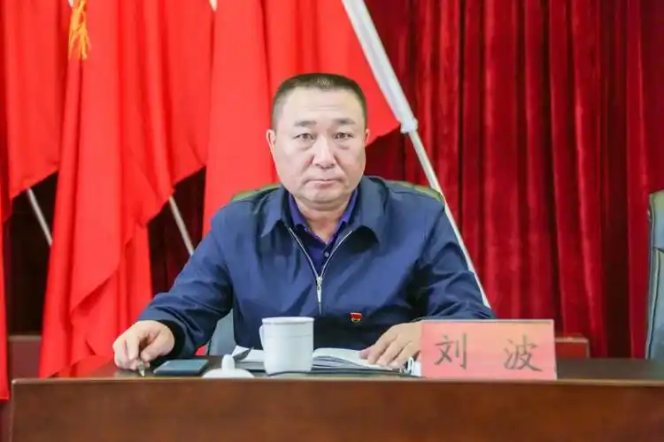 校党委委员,副校长刘波