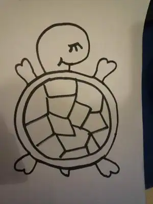 小乌龟没穿衣服就冬眠多冷呀,我们来帮帮它吧!