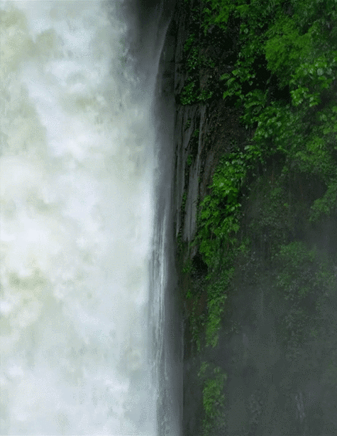 500_647竖版 竖屏gif 动态图 动图