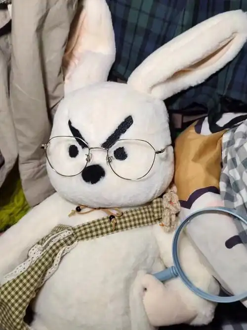 这个凶凶的小兔子太可爱了叭78