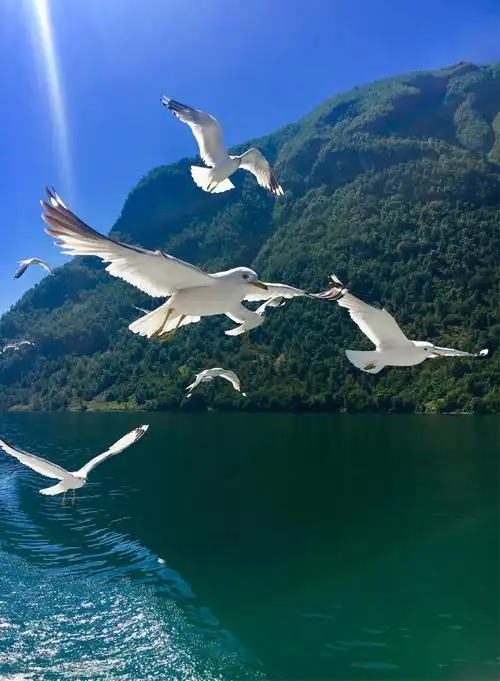 蓝天青山碧水的北国风光(中)