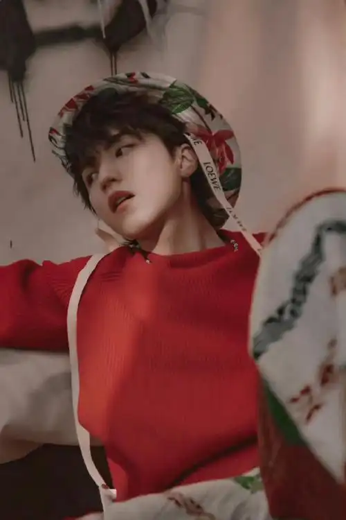 《野孩子》《刺猬》《749局》[锦鲤附体]@tfboys-王俊凯