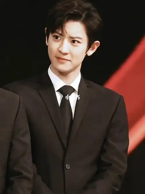 我经常在想他被说不上相那本人到底有多帅朴灿烈