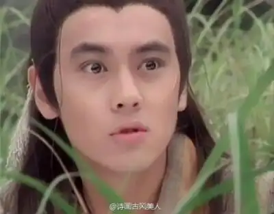 林志颖《绝代双骄》【江小鱼】花月奴与江枫之子,本名江鱼,人称小鱼儿