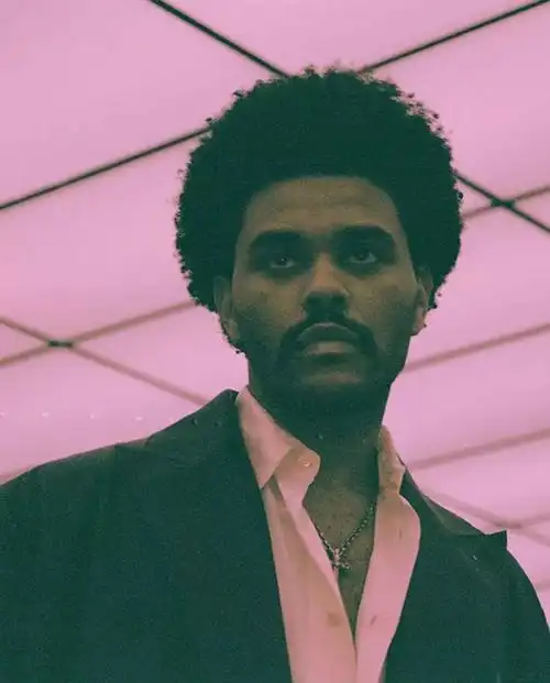 theweeknd粉色盆栽