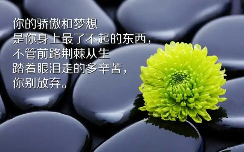 每日一语正能量感悟人生