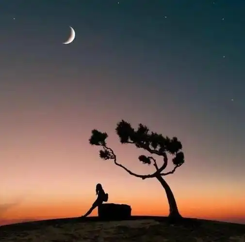 夜晚独自一人感慨短句夜晚一个人伤感语录