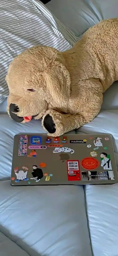 壁纸| ins风高级感锁屏壁纸