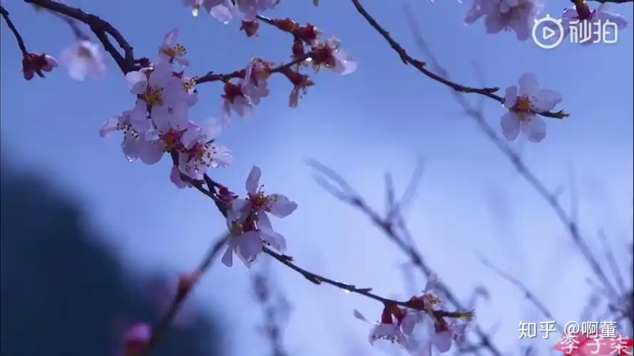 有哪些超级好看的古风壁纸