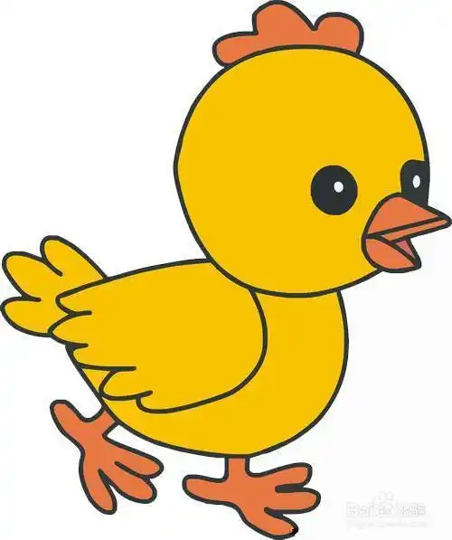 鸡的简笔画彩色可爱简单 简笔画图片大全-蒲城教育文学网