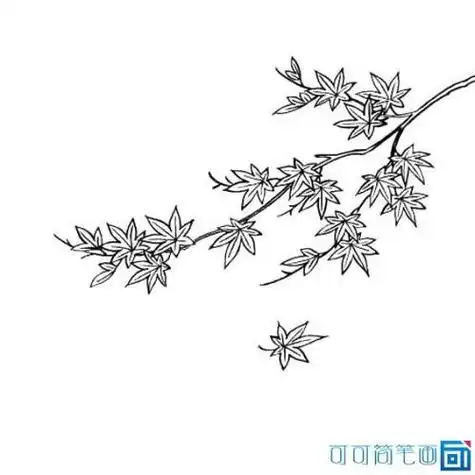 秋天的枫树简笔画图片2