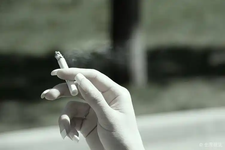 吸烟_香烟_手_高清图片_全景视觉