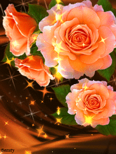 240_320竖版 竖屏gif 动态图 动图