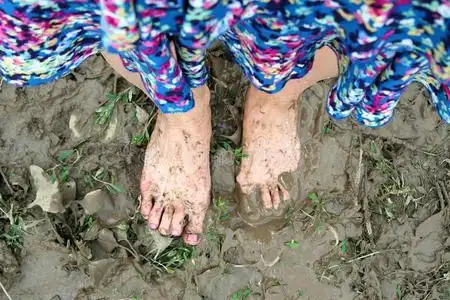 鱼缸水草泥图片