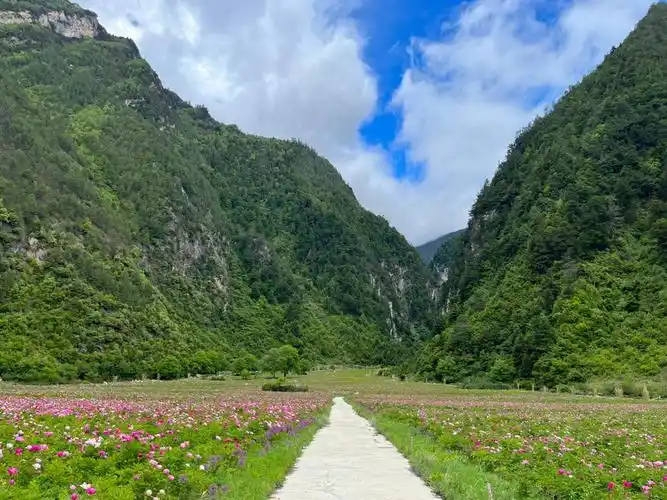 这是传说中的绝情谷吧