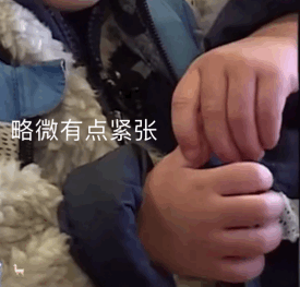 (持续更新)发我手机表情包最多的可爱小孩本特利嘻嘻