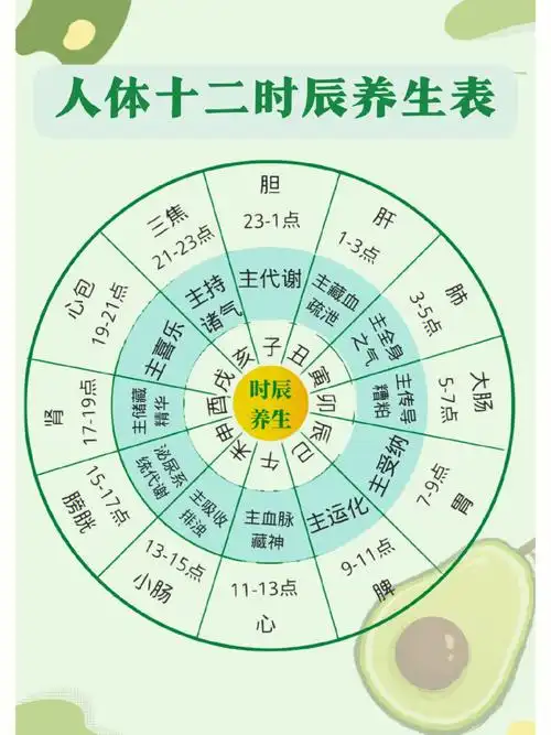 人体十二时辰养生表
