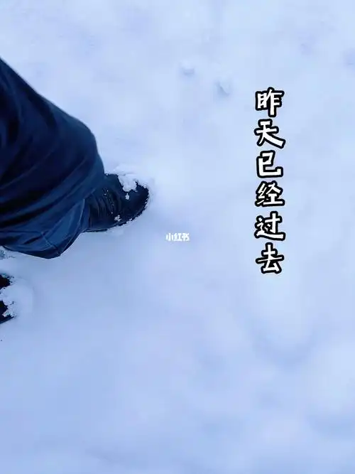 和过去的自己作个告别希望明年会更好