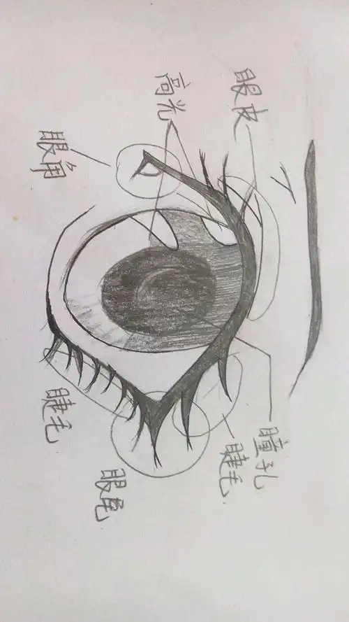 收集   点赞  评论  卡通眼睛画法 0 939 我是谁w  发布到  动漫瞬哪